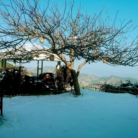 The Swiss Village Resort Nainital Luaran gambar