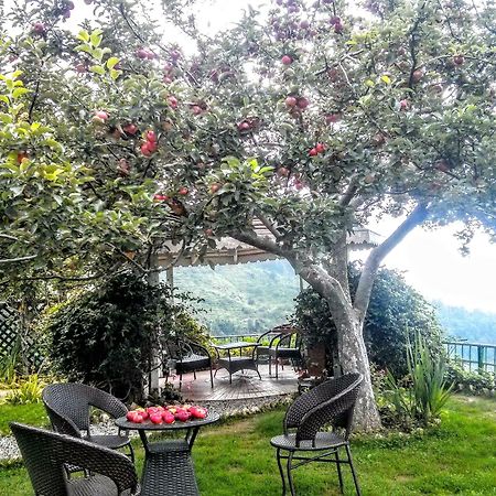 The Swiss Village Resort Nainital Luaran gambar