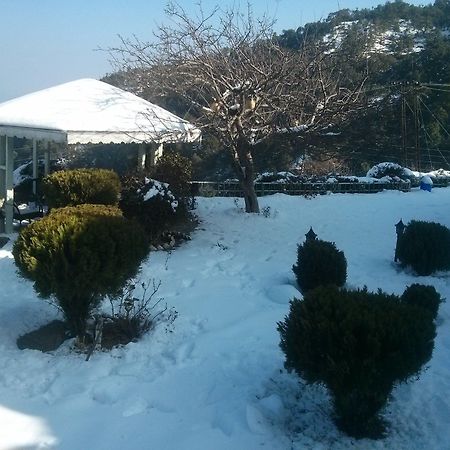 The Swiss Village Resort Nainital Luaran gambar
