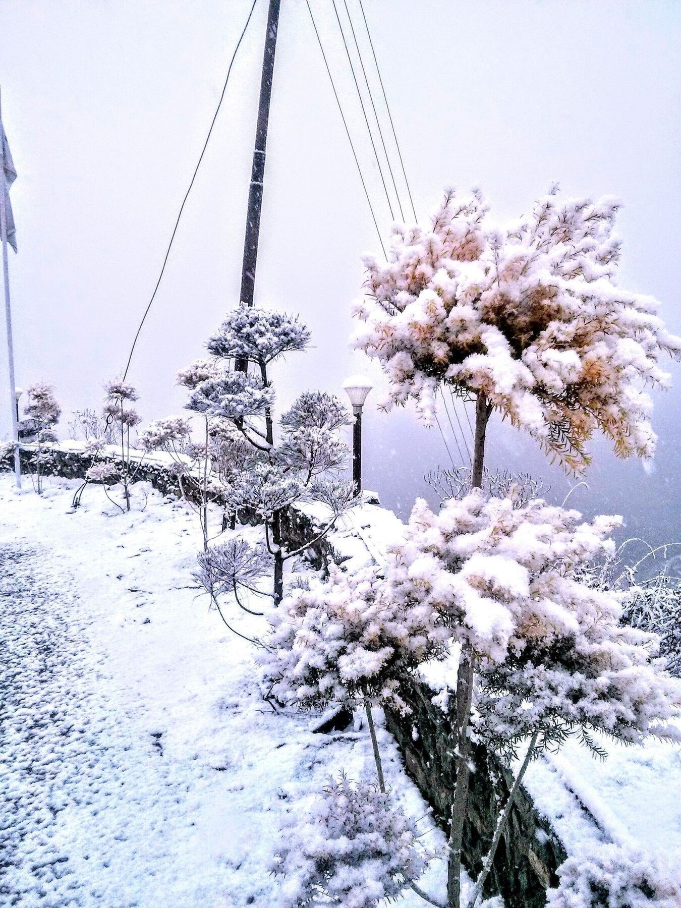The Swiss Village Resort Nainital Luaran gambar